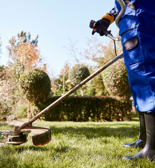 Mantenimiento integral