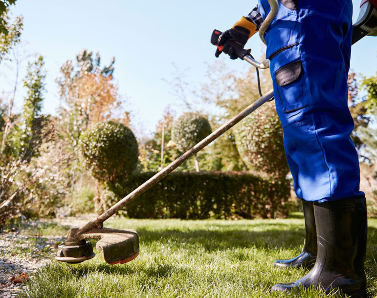 Mantenimiento integral de jardies | Natura Jardineria