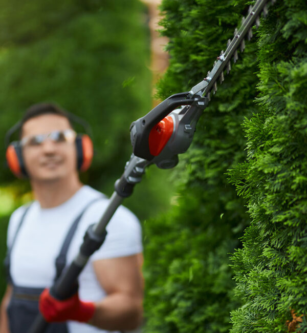 Poda y jardinería en altura