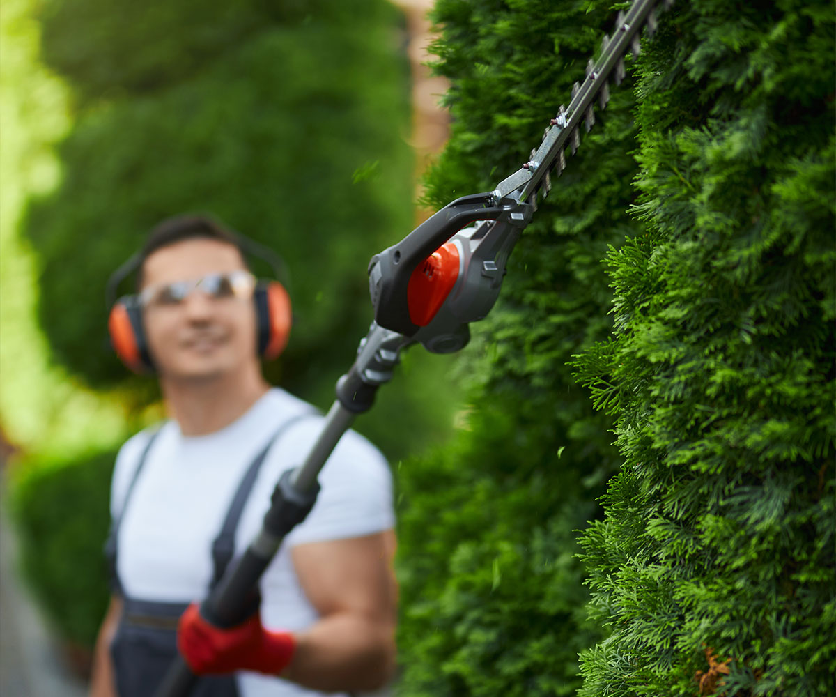 Poda y jardinería en altura