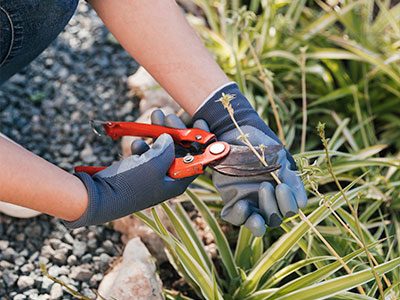 Mantenimiento Integral de Jardines | Natura Jardinería