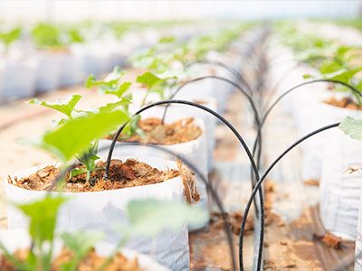 Nuestros Servicios | Sistemas de Riego | Natura Jardinería