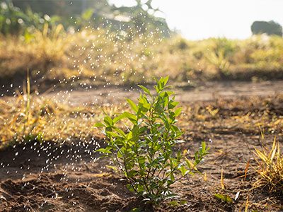 Montamos Sistemas de Riego | Natura Jardinería